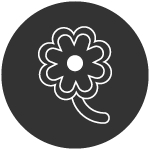 icon_kontakt