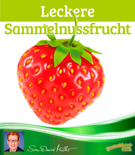 Leckere Sammelnussfrucht, Erdbeere, gut erklärt, Sven-David Müller, DeutschLand-Riegel