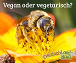 Bienenhonig, Biene, vegan oder vegetarisch?, Honig