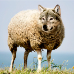 Wolf im Schafspelz, DeutschLand-Riegel