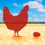Huhn oder Ei?