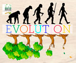 Evolution des Menschen, Wald, Baum, Bäume, Natur, Abholzen, Klimawandel