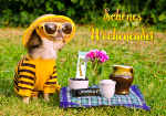 Wochenende, aktiv sein, Freunde, Picknick, Sport