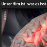 Unser Hirn ist, was es isst