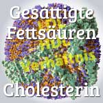 gesunde Ernährung, Cholesterinspiegel, LDL, HDL, Verhältnis, gesättigte Fettsäuren
